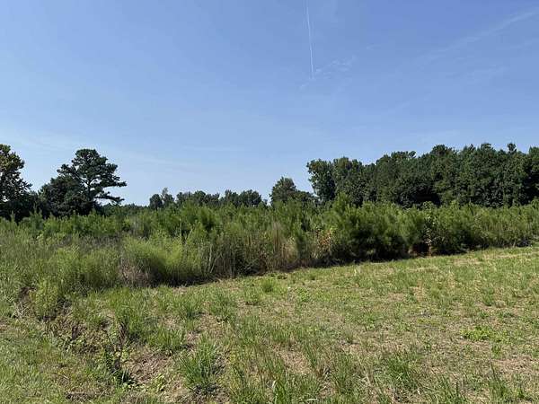 2.5 Acres of Residential Land for Sale in Nichols, South Carolina