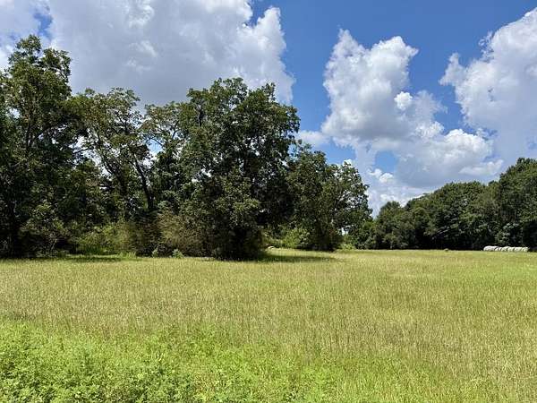 3.46 Acres of Residential Land for Sale in Ashford, Alabama