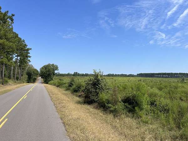 133 Acres of Recreational & Residential Land for Sale in Columbia, Alabama