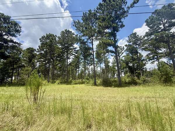 9 Acres of Residential Land for Sale in Ashford, Alabama