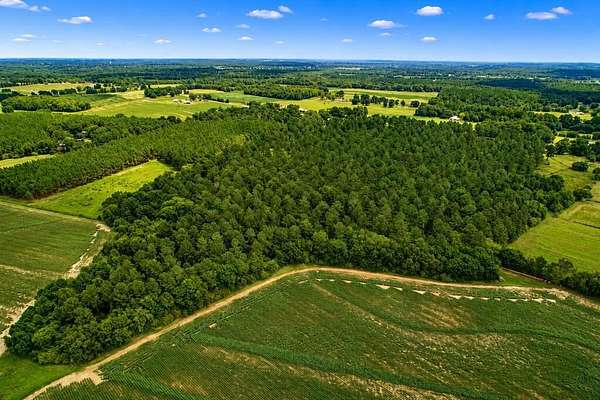 8.83 Acres of Residential Land for Sale in Ashford, Alabama