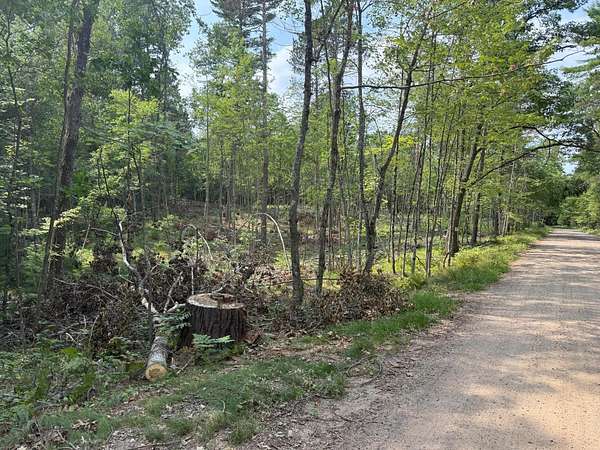 2.69 Acres of Residential Land for Sale in Plum Lake Town, Wisconsin