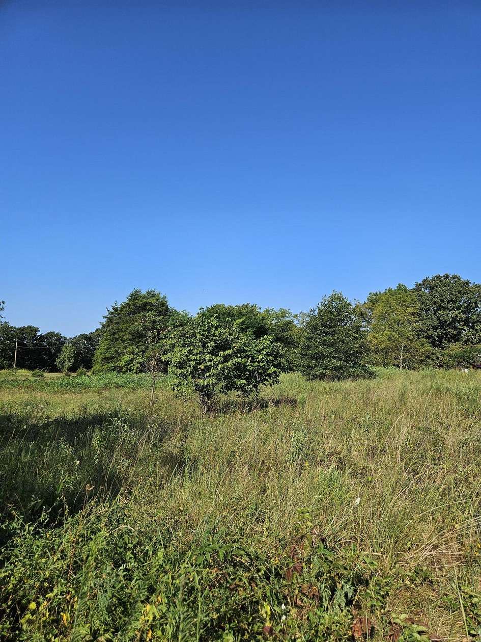 2 Acres of Residential Land for Sale in Pierce City, Missouri