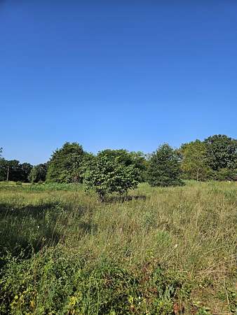 2 Acres of Residential Land for Sale in Pierce City, Missouri