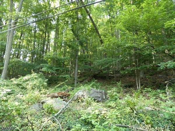 3.32 Acres of Residential Land for Sale in Tewksbury Township, New Jersey