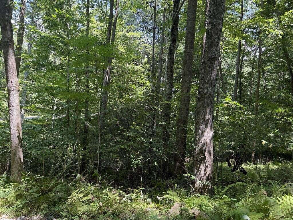 0.81 Acres of Residential Land for Sale in Hayesville, North Carolina