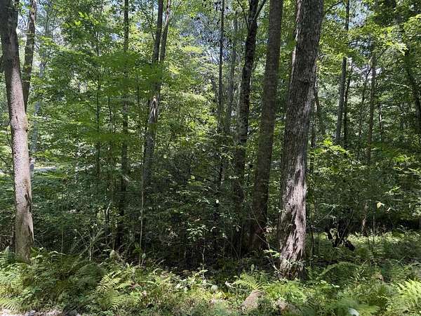 0.81 Acres of Residential Land for Sale in Hayesville, North Carolina