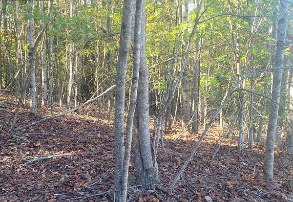 0.81 Acres of Residential Land for Sale in Hayesville, North Carolina