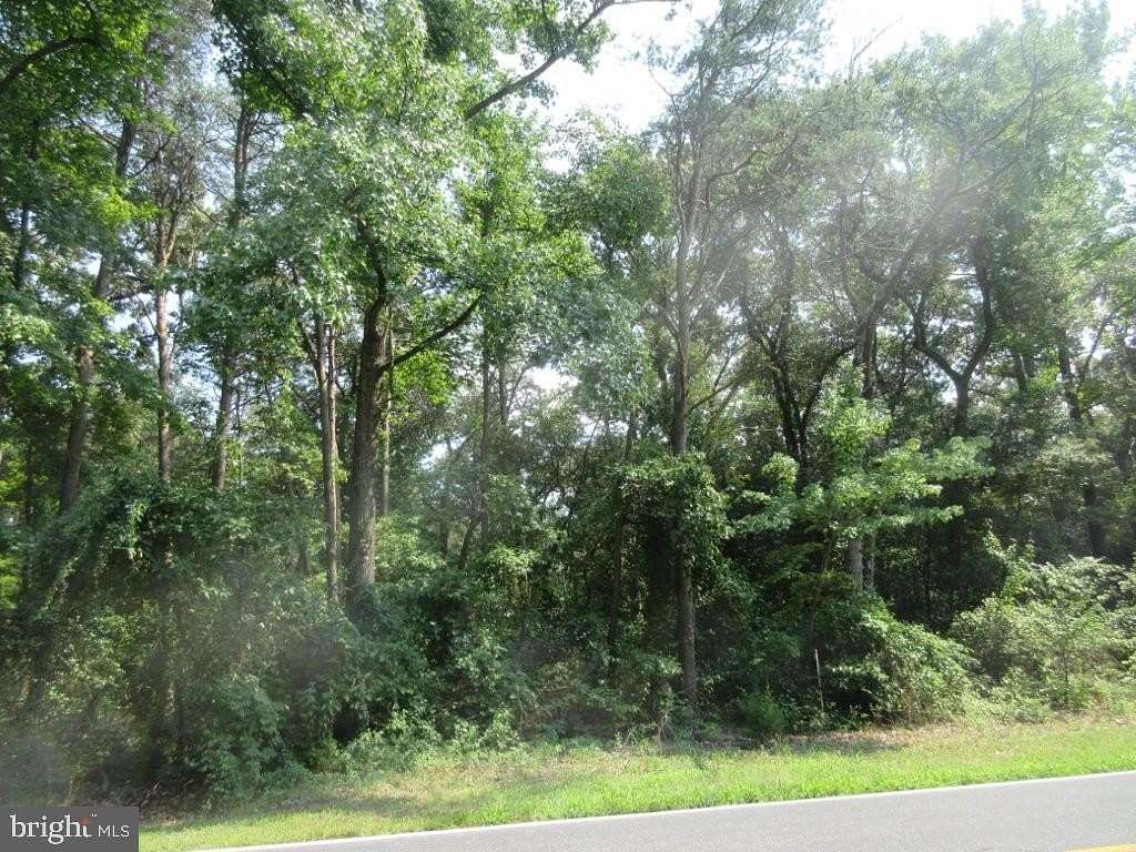 1.28 Acres of Residential Land for Sale in Seaford, Delaware