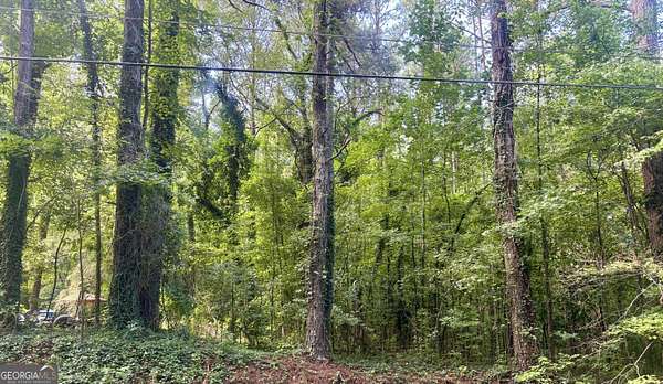 0.32 Acres of Residential Land for Sale in South Fulton, Georgia