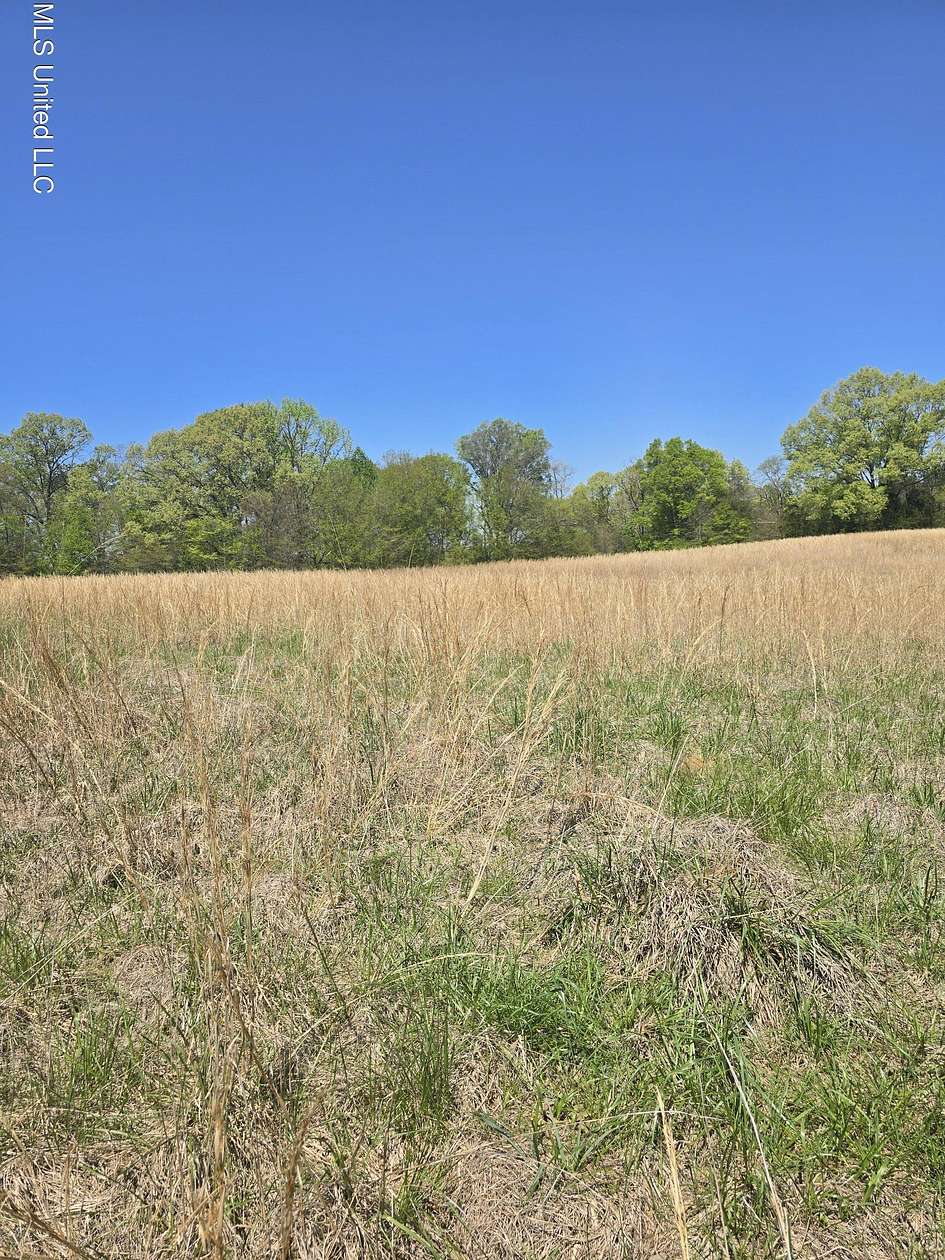10.1 Acres of Land for Sale in Hernando, Mississippi