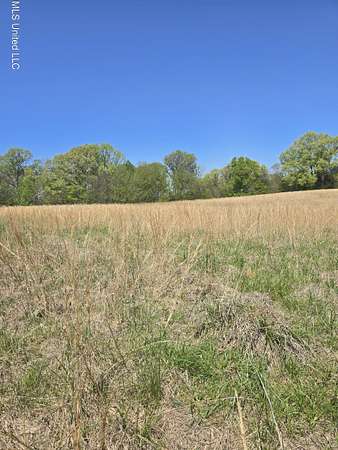 10.1 Acres of Land for Sale in Hernando, Mississippi