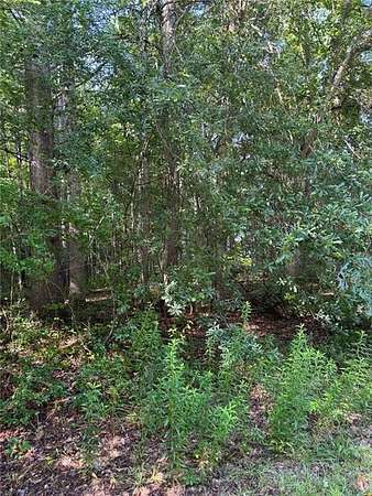 1 Acre of Residential Land for Sale in Carrollton, Georgia