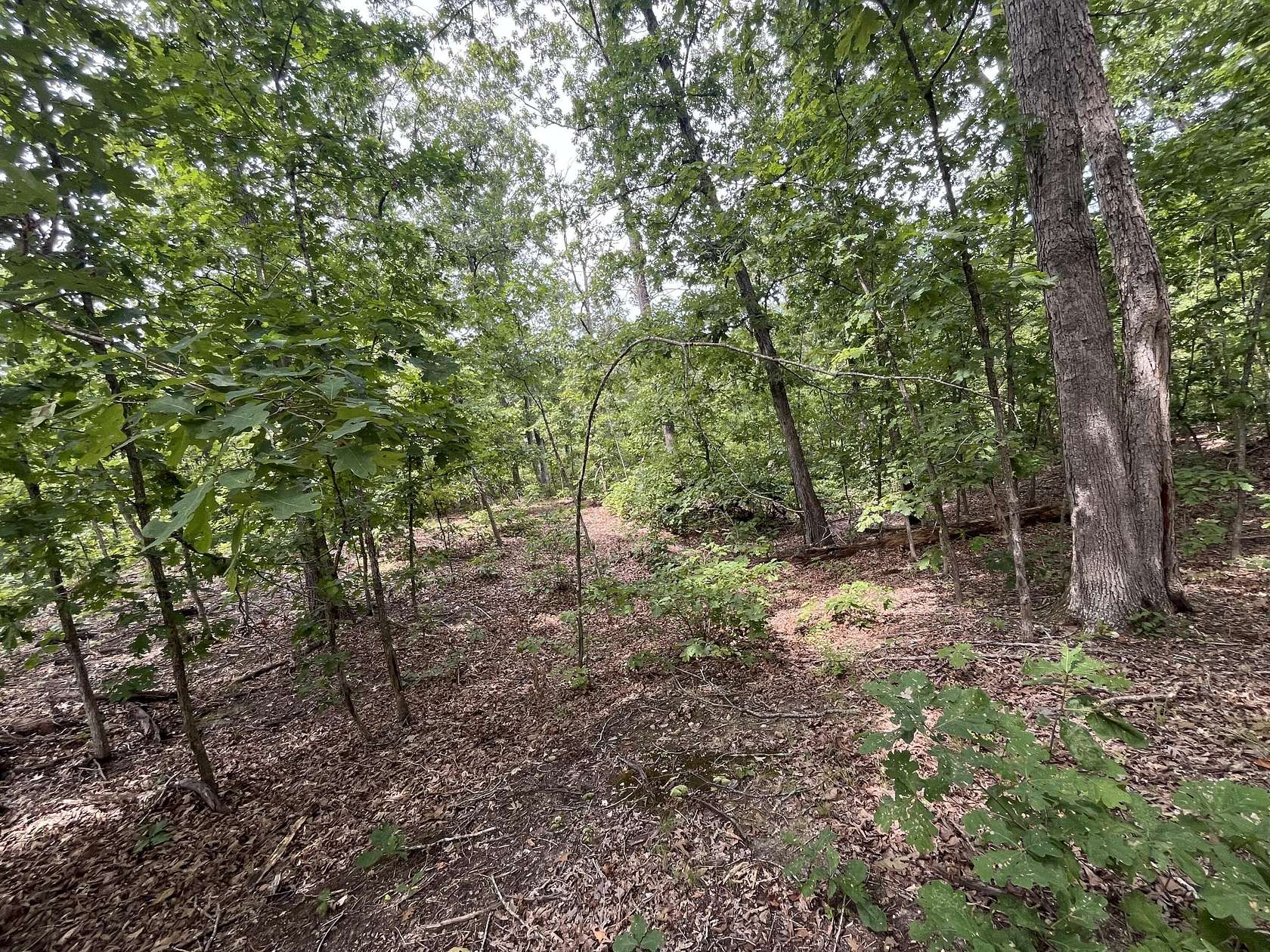 6.53 Acres of Residential Land for Sale in Climax Springs, Missouri
