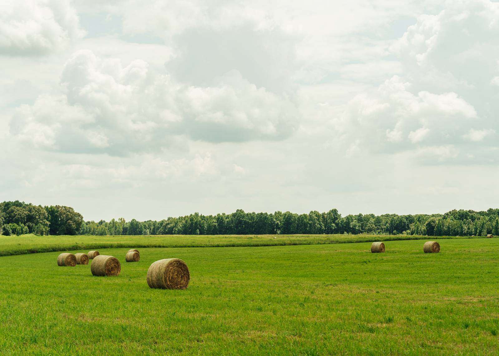 24 Acres of Agricultural & Residential Land for Sale in Louisville, Mississippi