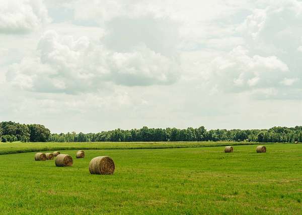 24 Acres of Agricultural & Residential Land for Sale in Louisville, Mississippi