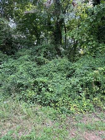 0.22 Acres of Residential Land for Sale in Canton, Georgia
