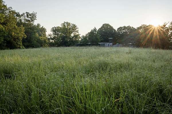 31.3 Acres of Land with Home for Sale in White Bluff, Tennessee