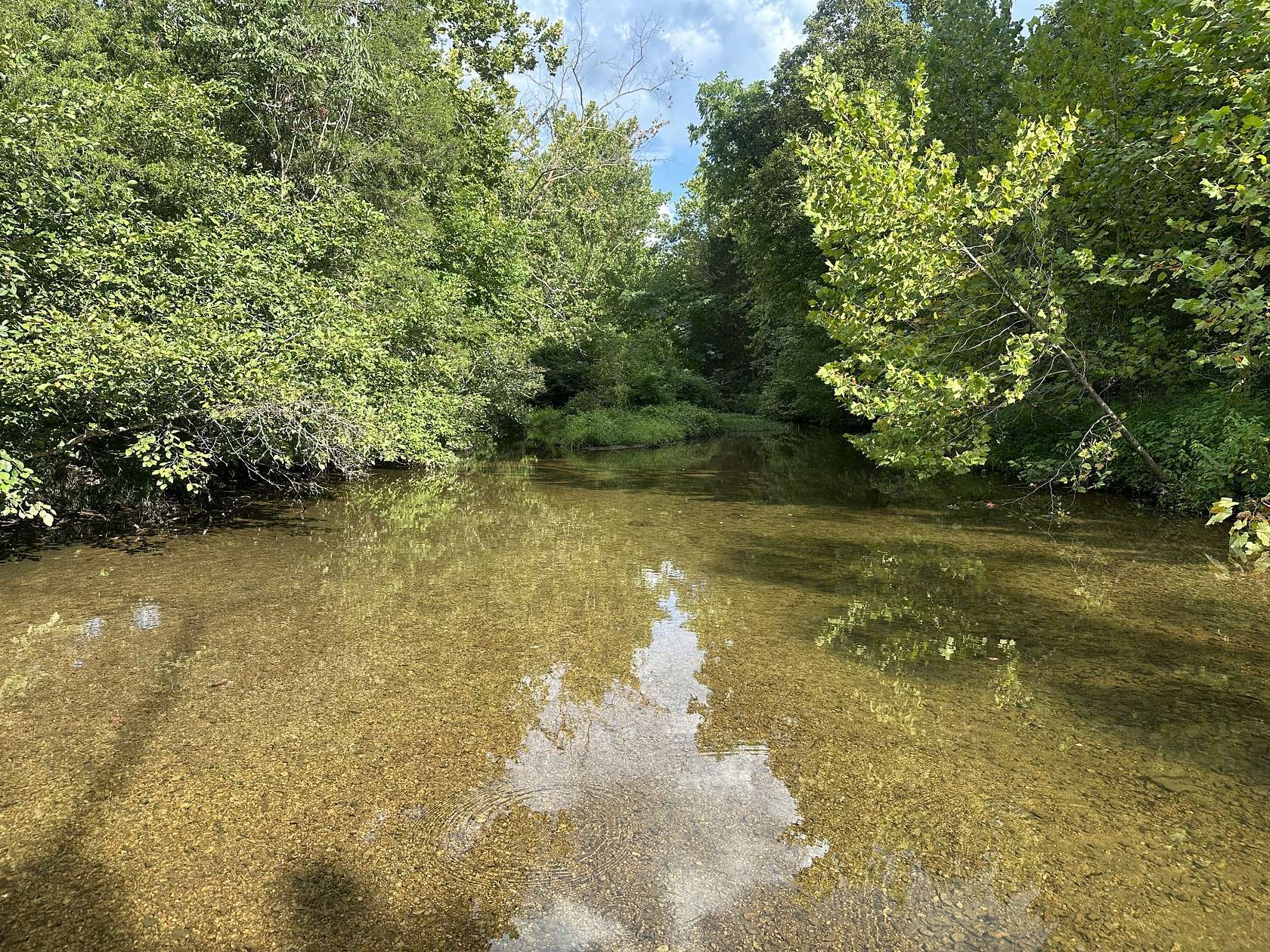 19.8 Acres of Recreational & Residential Land for Sale in Linden, Tennessee