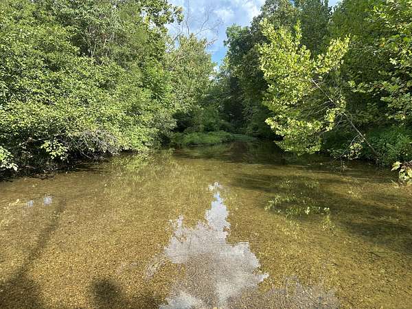 19.8 Acres of Recreational & Residential Land for Sale in Linden, Tennessee