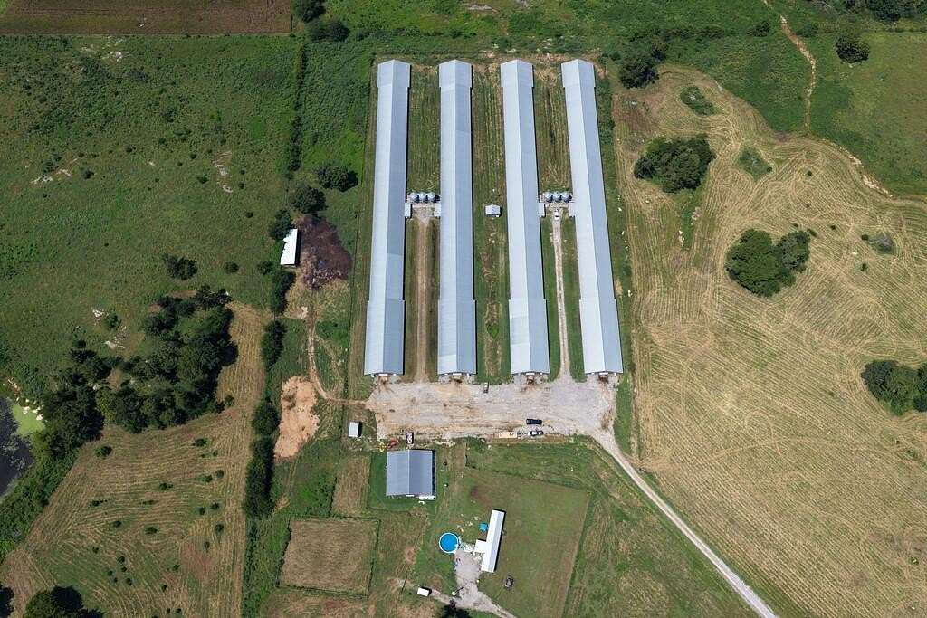 75 Acres of Land for Sale in Mount Hope, Alabama