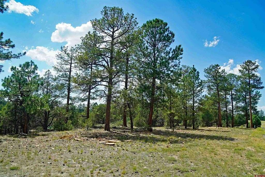 1 Acre of Land for Sale in Ridgway, Colorado