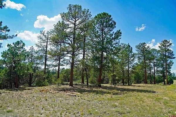 1 Acre of Land for Sale in Ridgway, Colorado