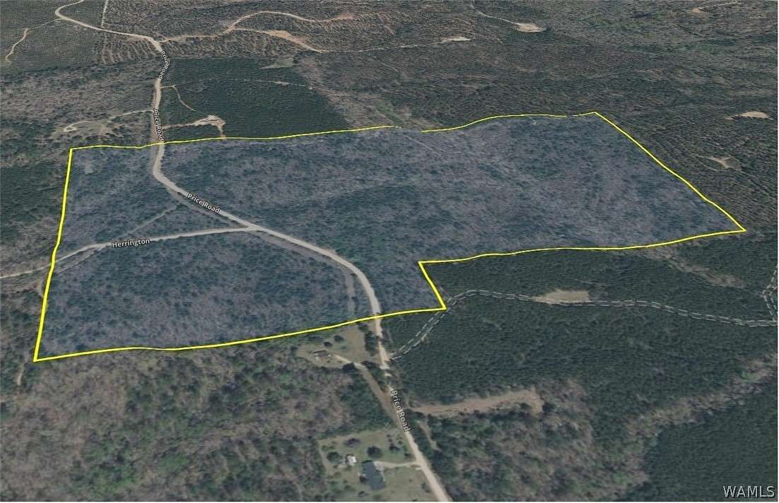 89.4 Acres of Recreational Land for Sale in Reform, Alabama