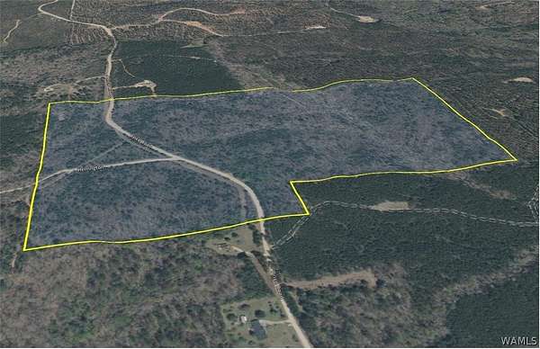 89.4 Acres of Recreational Land for Sale in Reform, Alabama
