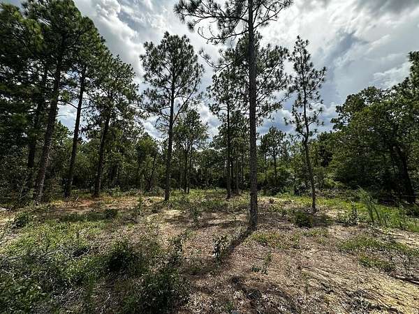 10 Acres of Recreational & Residential Land for Sale in Box Springs, Georgia