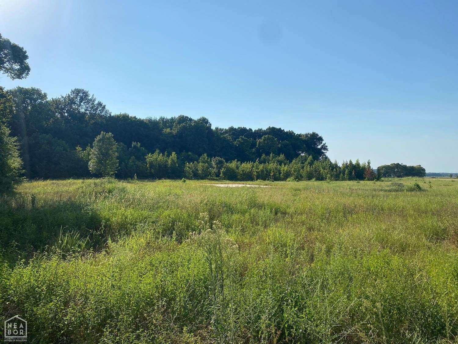 13 Acres of Recreational & Residential Land for Sale in Trumann, Arkansas