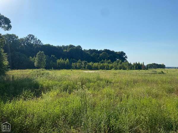 13 Acres of Recreational & Residential Land for Sale in Trumann, Arkansas