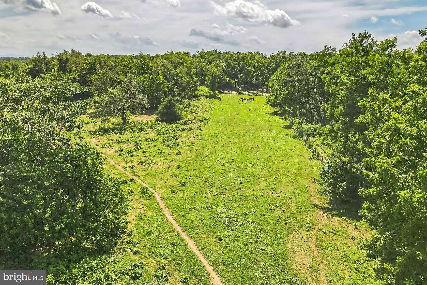 19.9 Acres of Land for Sale in Berryville, Virginia