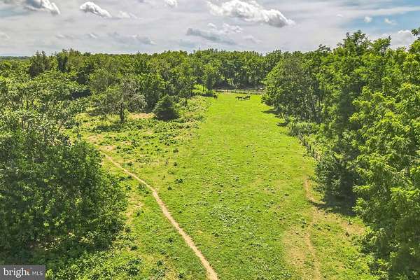 19.9 Acres of Land for Sale in Berryville, Virginia