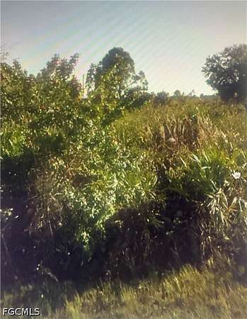 0.25 Acres of Residential Land for Sale in Lehigh Acres, Florida