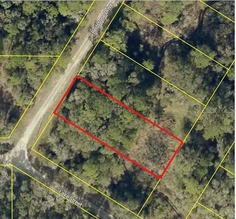 0.43 Acres of Residential Land for Sale in Webster, Florida