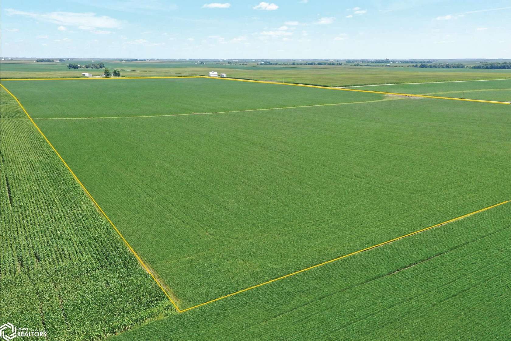 391 Acres of Land with Home for Auction in Brocton, Illinois