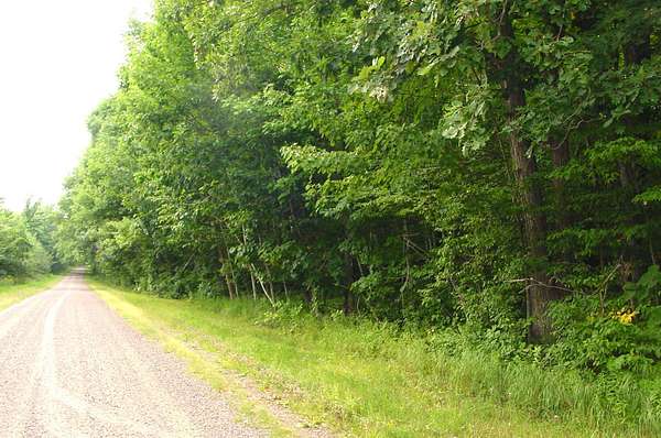 80 Acres of Recreational Land for Sale in Bruce, Wisconsin
