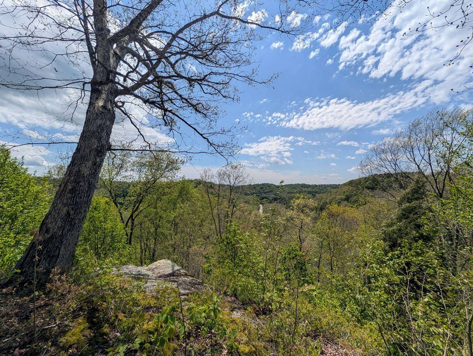 7.49 Acres of Residential Land for Auction in Beallsville, Ohio