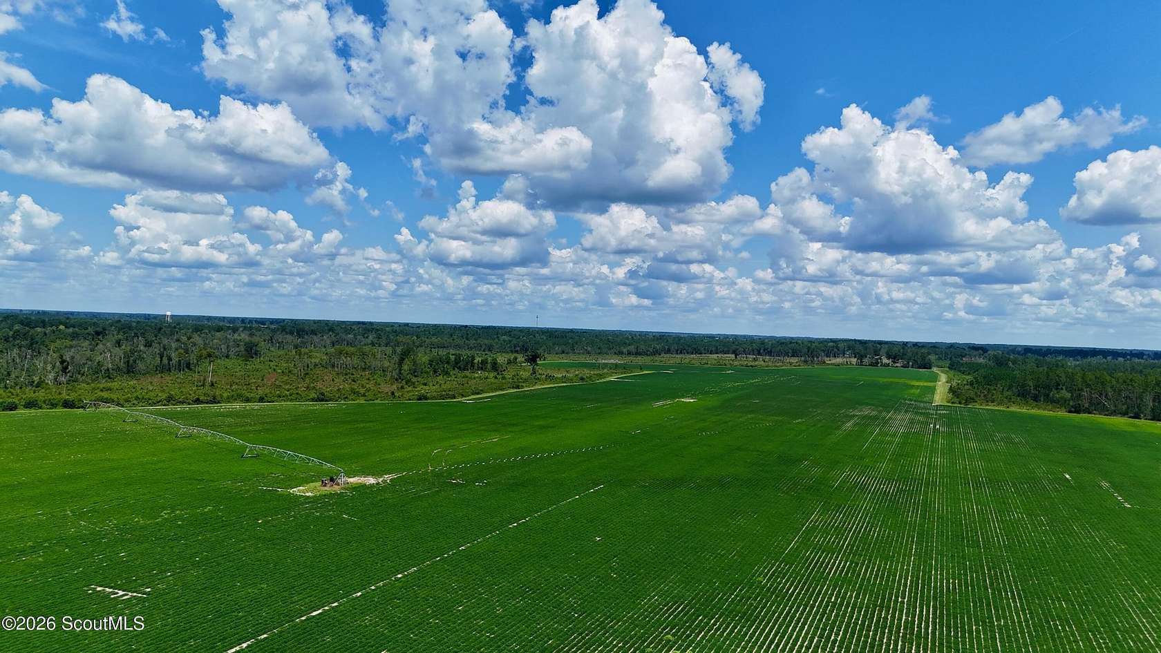 475 Acres of Agricultural Land for Sale in Alma, Georgia