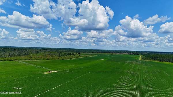 475 Acres of Agricultural Land for Sale in Alma, Georgia