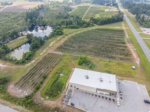 425 Acres of Agricultural Land for Sale in Alma, Georgia