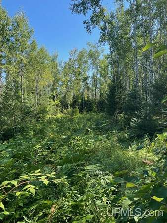 5.5 Acres of Recreational Land for Sale in Iron Mountain, Michigan