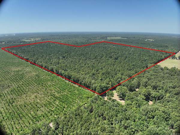 200 Acres of Land for Sale in Ashdown, Arkansas
