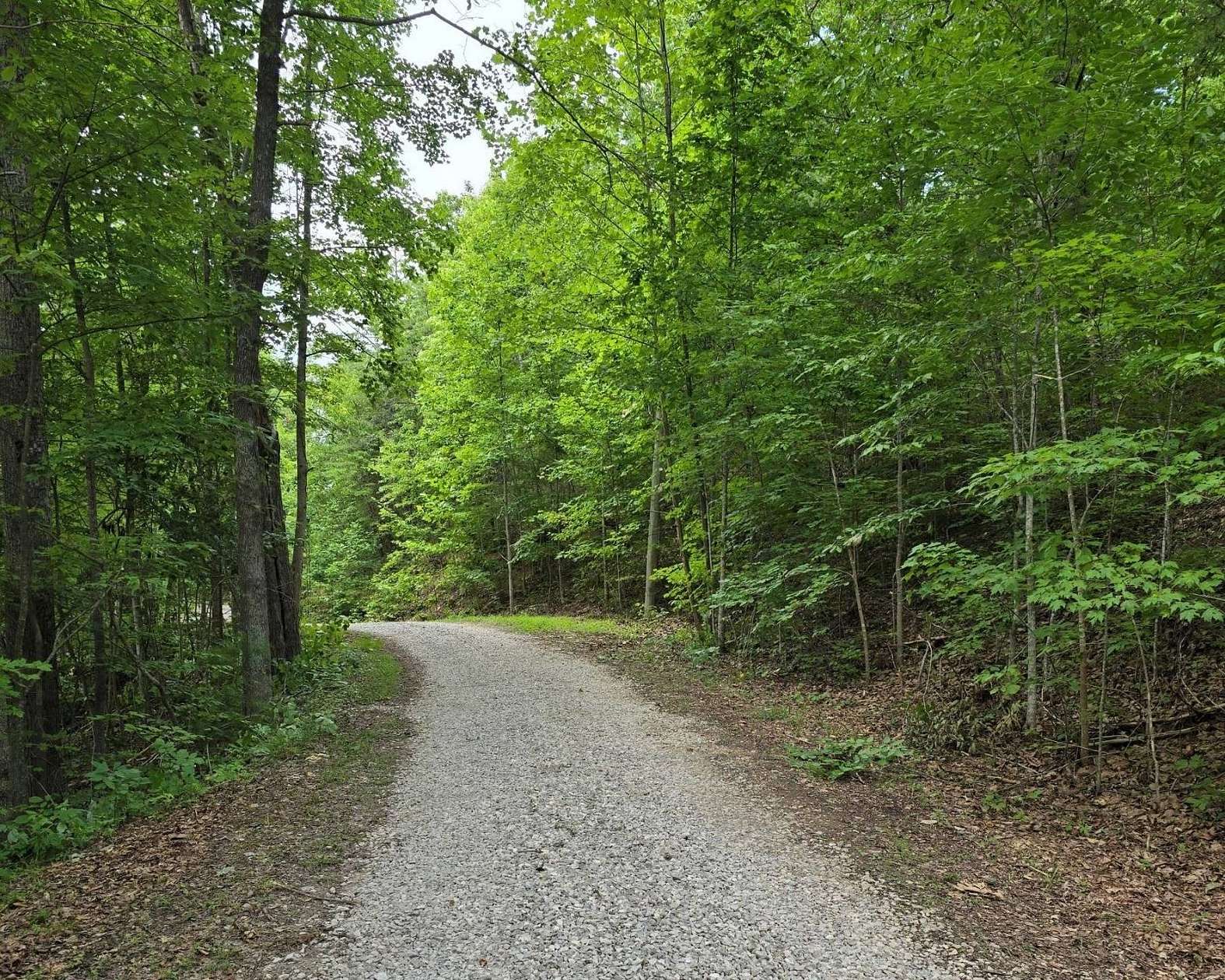 52 Acres of Recreational & Residential Land for Auction in Stanton, Kentucky