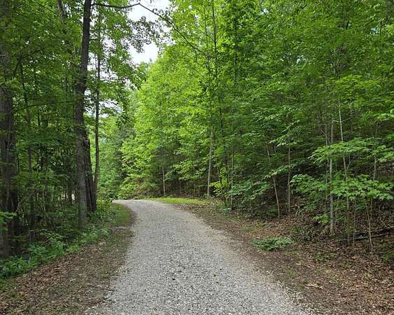 52 Acres of Recreational & Residential Land for Auction in Stanton, Kentucky