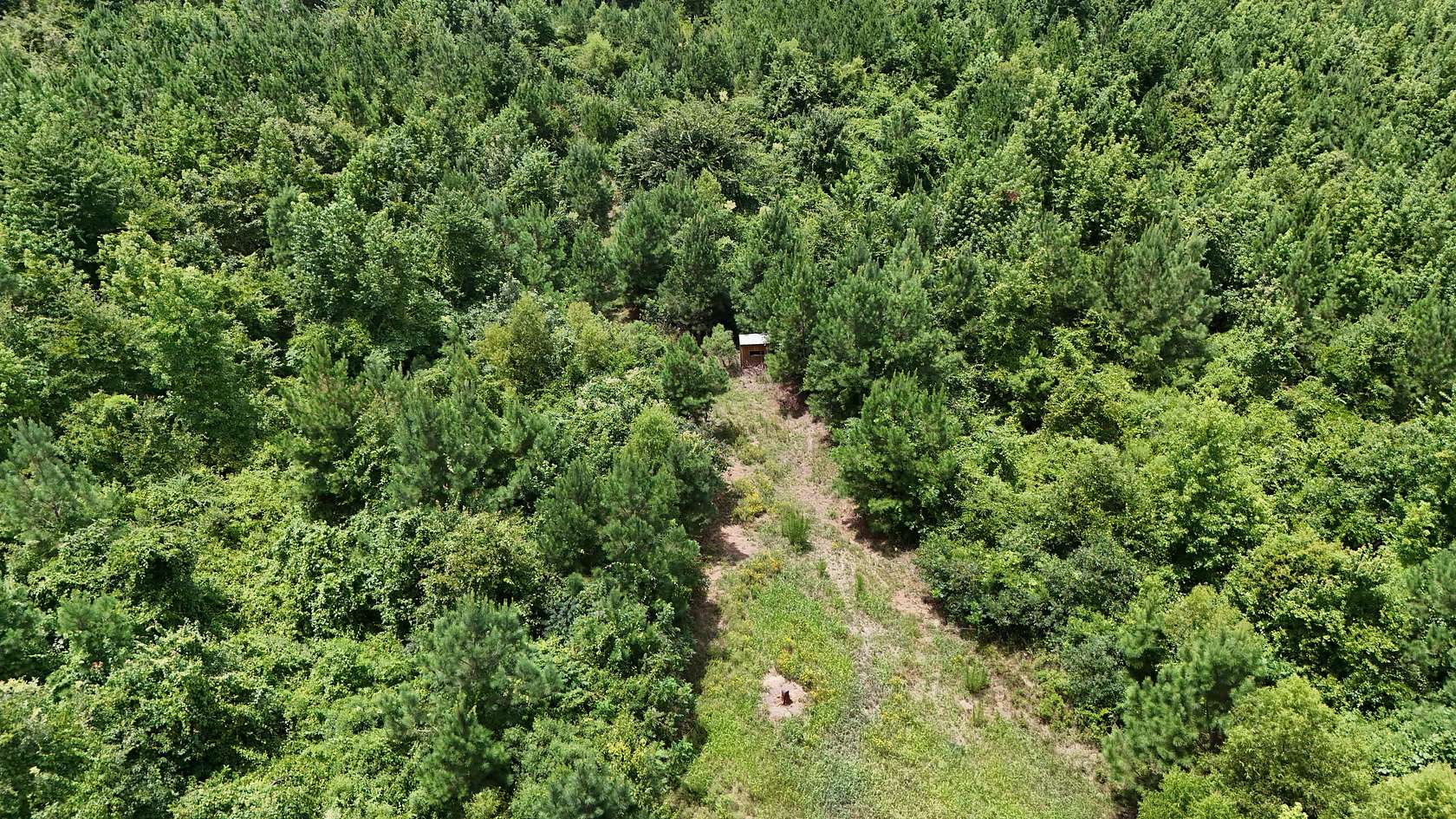 63 Acres of Recreational & Residential Land for Sale in Louisville, Mississippi