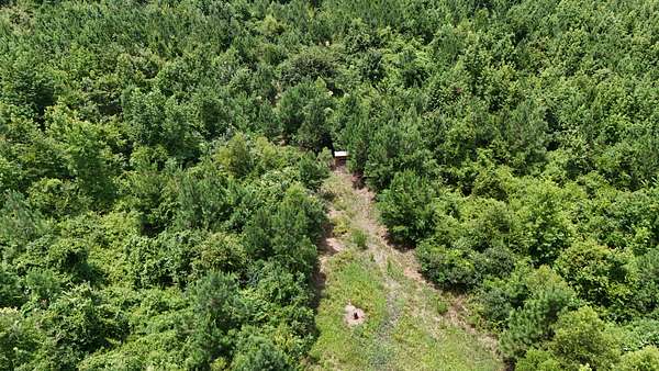 63 Acres of Recreational & Residential Land for Sale in Louisville, Mississippi