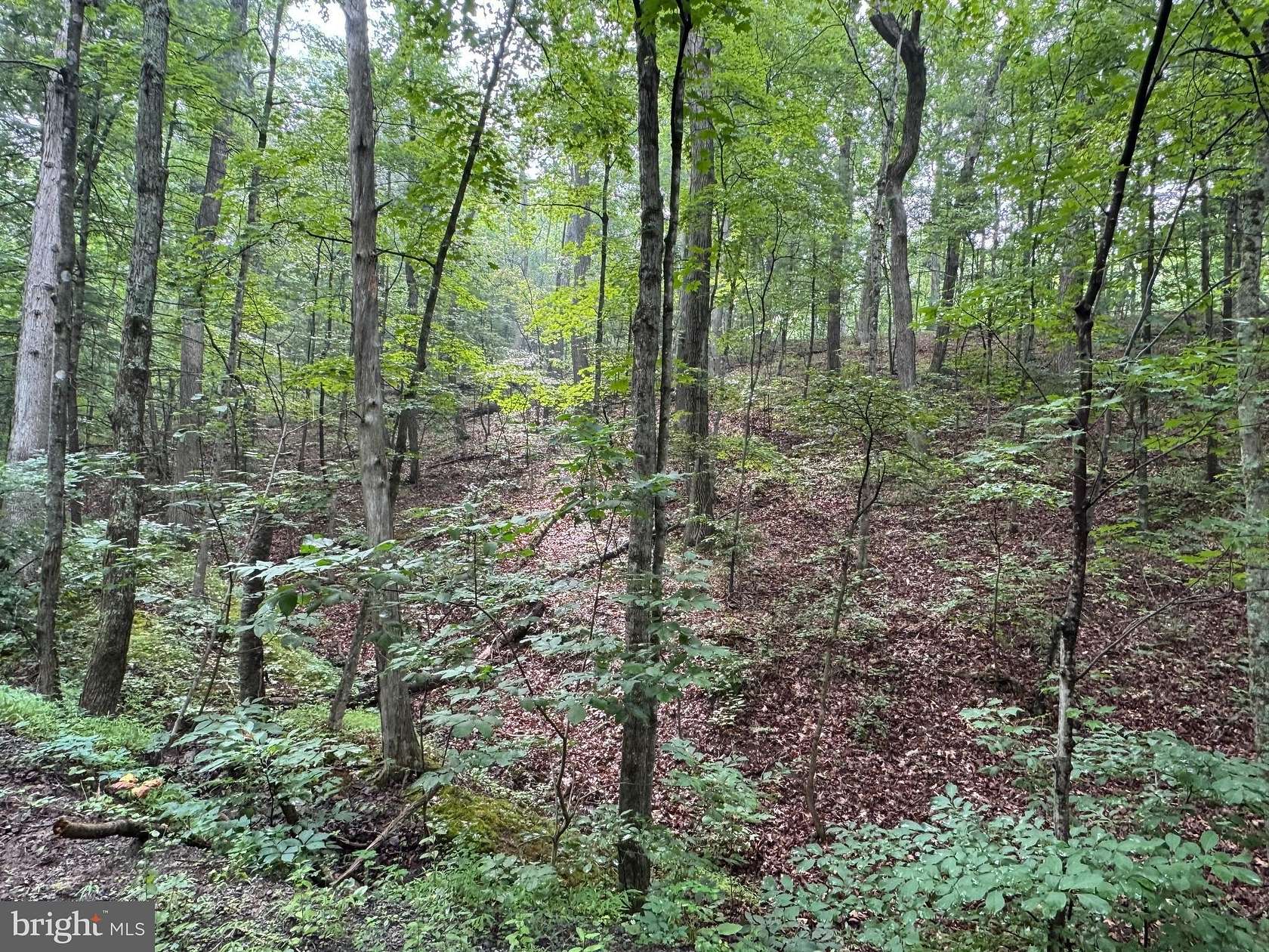 5.87 Acres of Land for Sale in Great Cacapon, West Virginia
