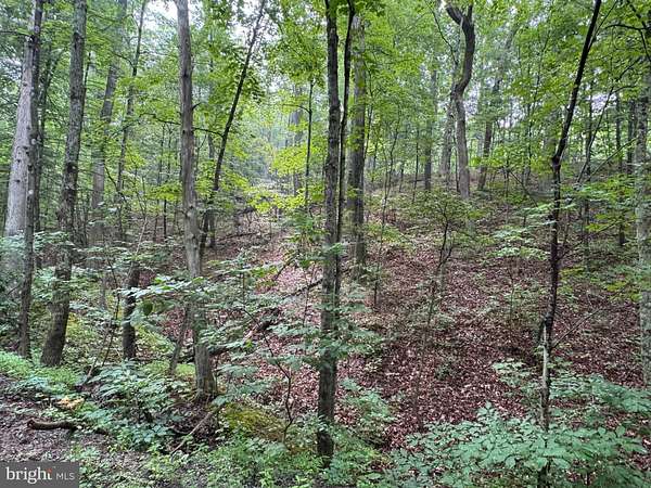 5.87 Acres of Land for Sale in Great Cacapon, West Virginia